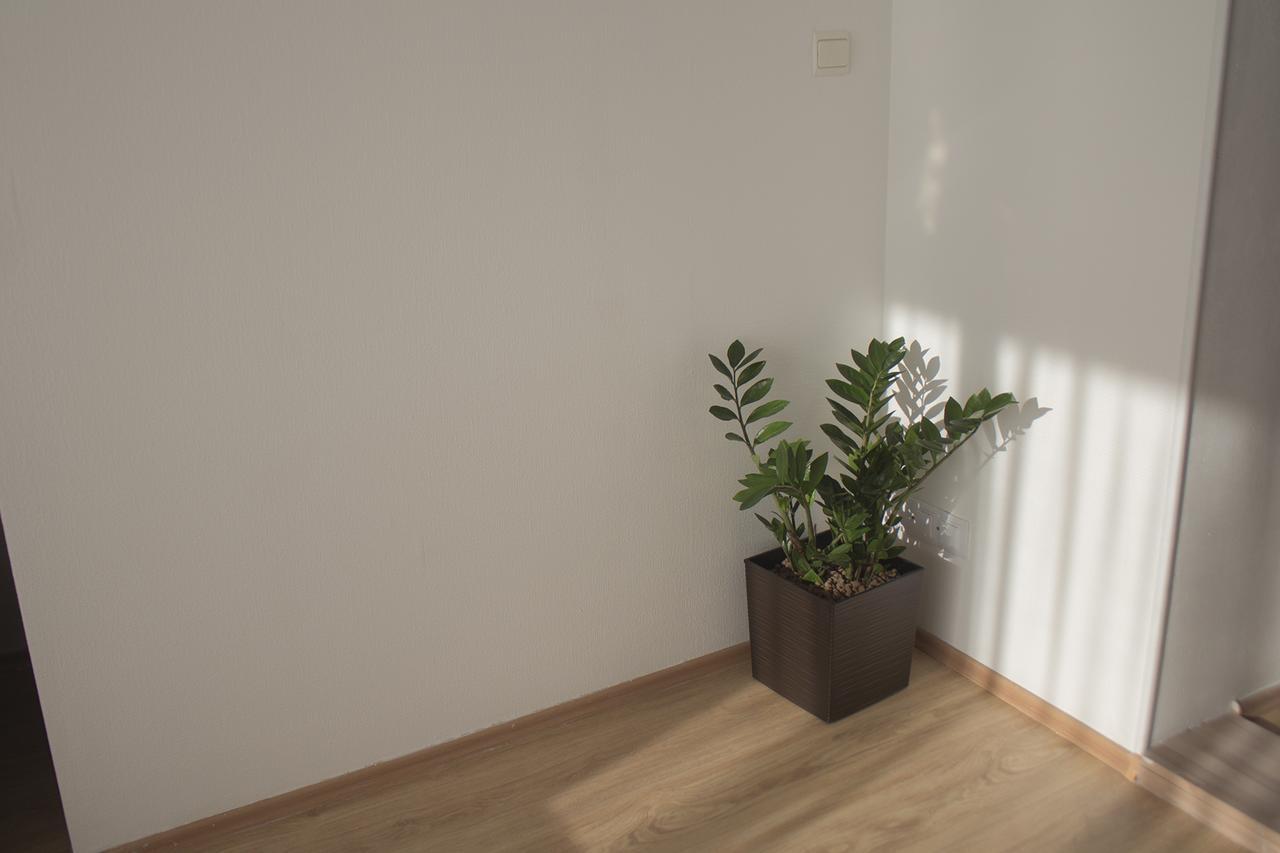 River View Residence براتسيلافا المظهر الخارجي الصورة