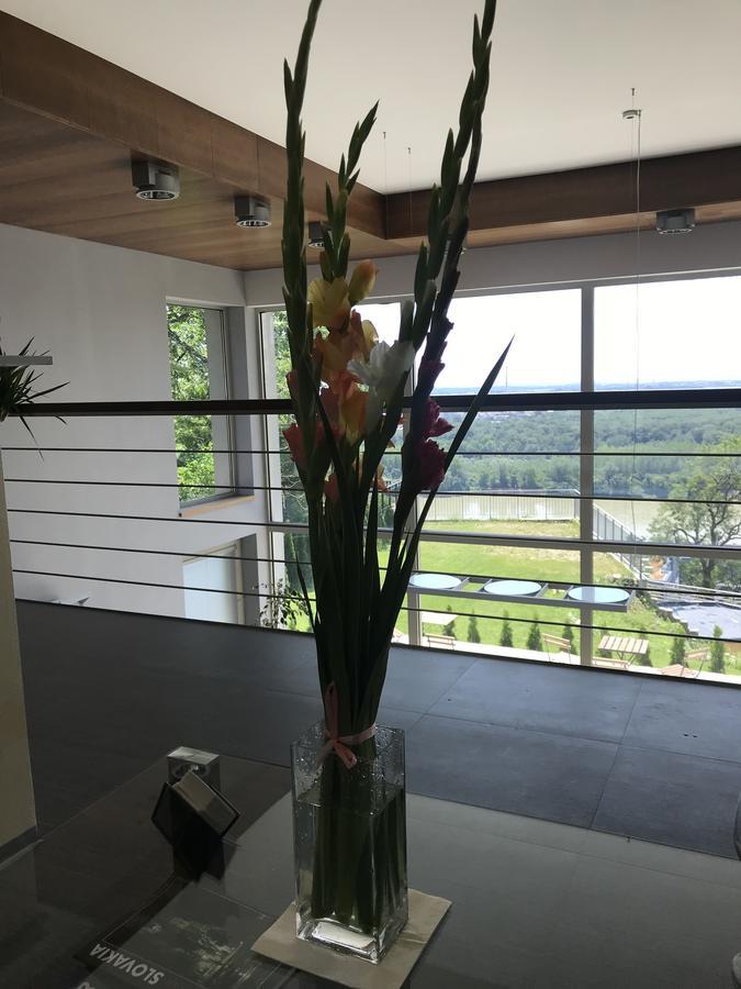 River View Residence براتسيلافا المظهر الخارجي الصورة